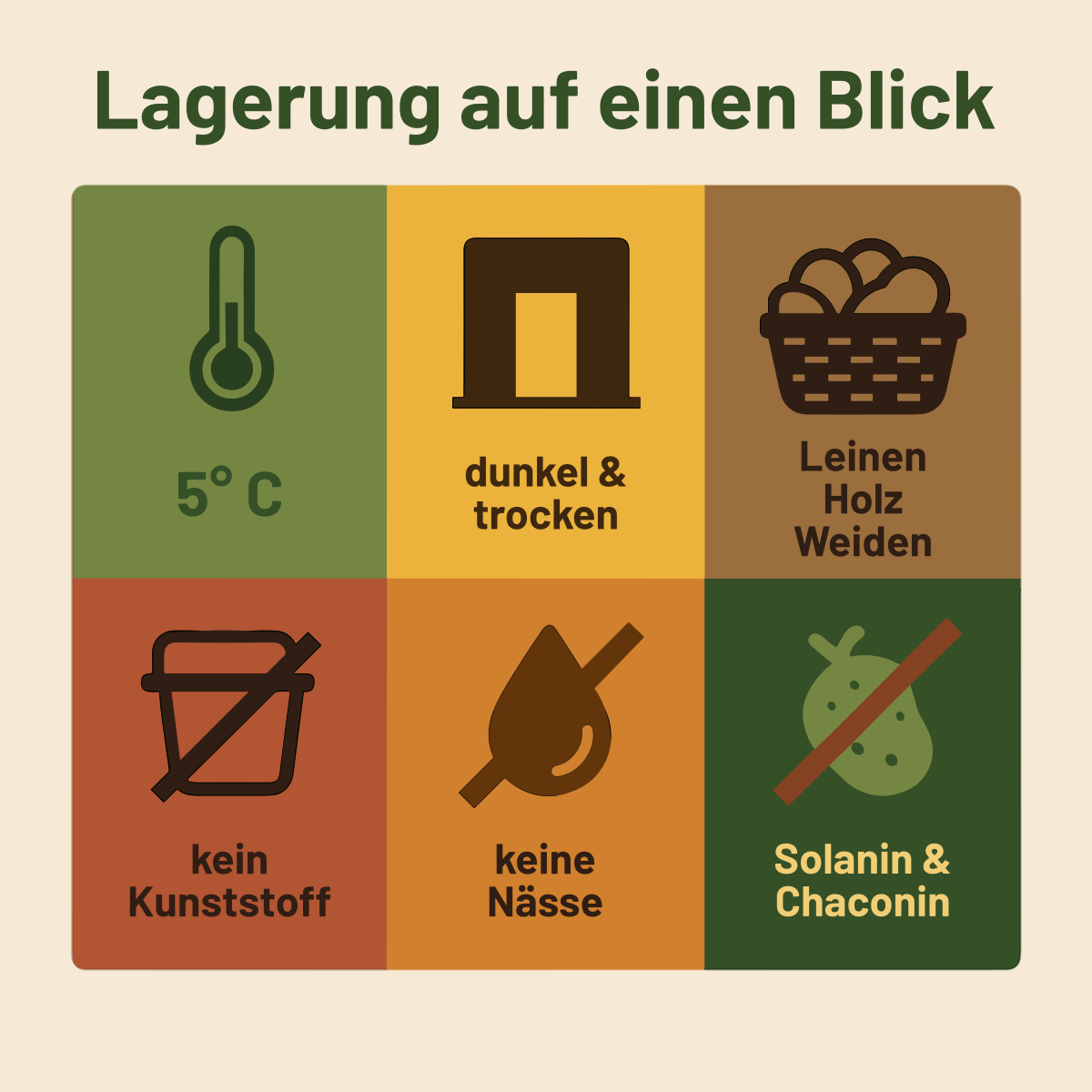 Lagerungstipps für Kartoffeln – als Infografik auf einen Blick | Fritz Hofbeck Infografik mit 6 Lagerungstipps für Kartoffeln: Temperatur, Dunkelheit, Feuchtigkeit, Verpackung und Warnhinweise