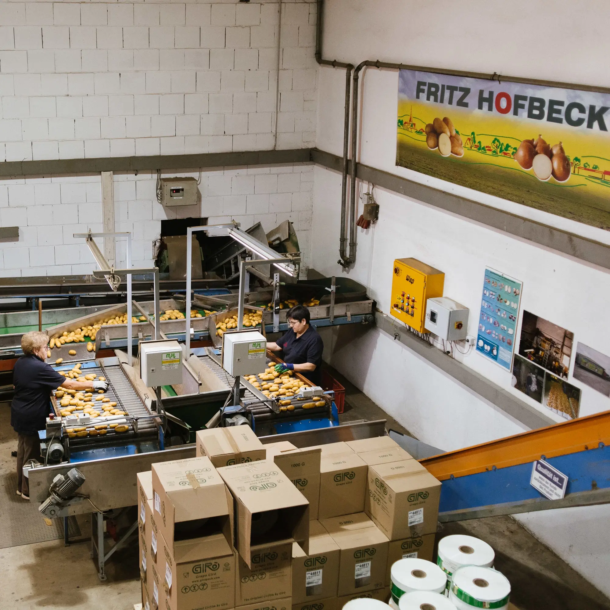 kartoffelverarbeitung-verpackung-hofbeck-2025